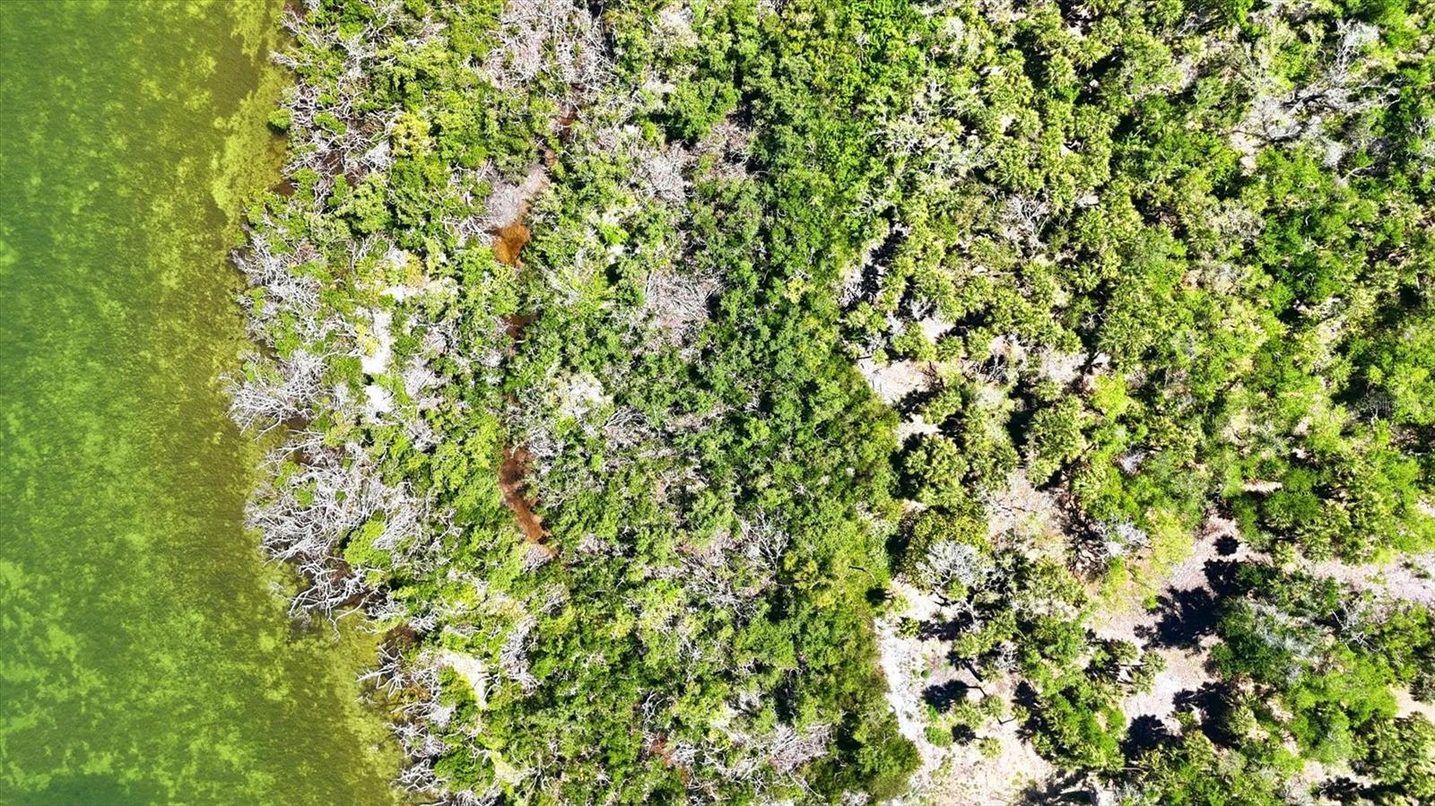 0 MANASOTA KEY RD, ENGLEWOOD, FL — photo 18