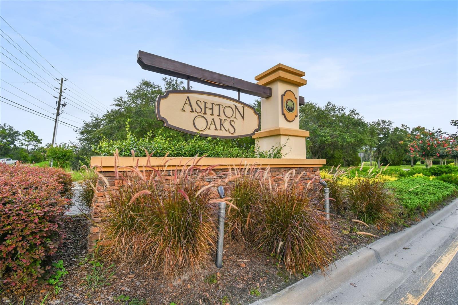 4329 ASHTON MEADOWS WAY, WESLEY CHAPEL, FL — photo 2