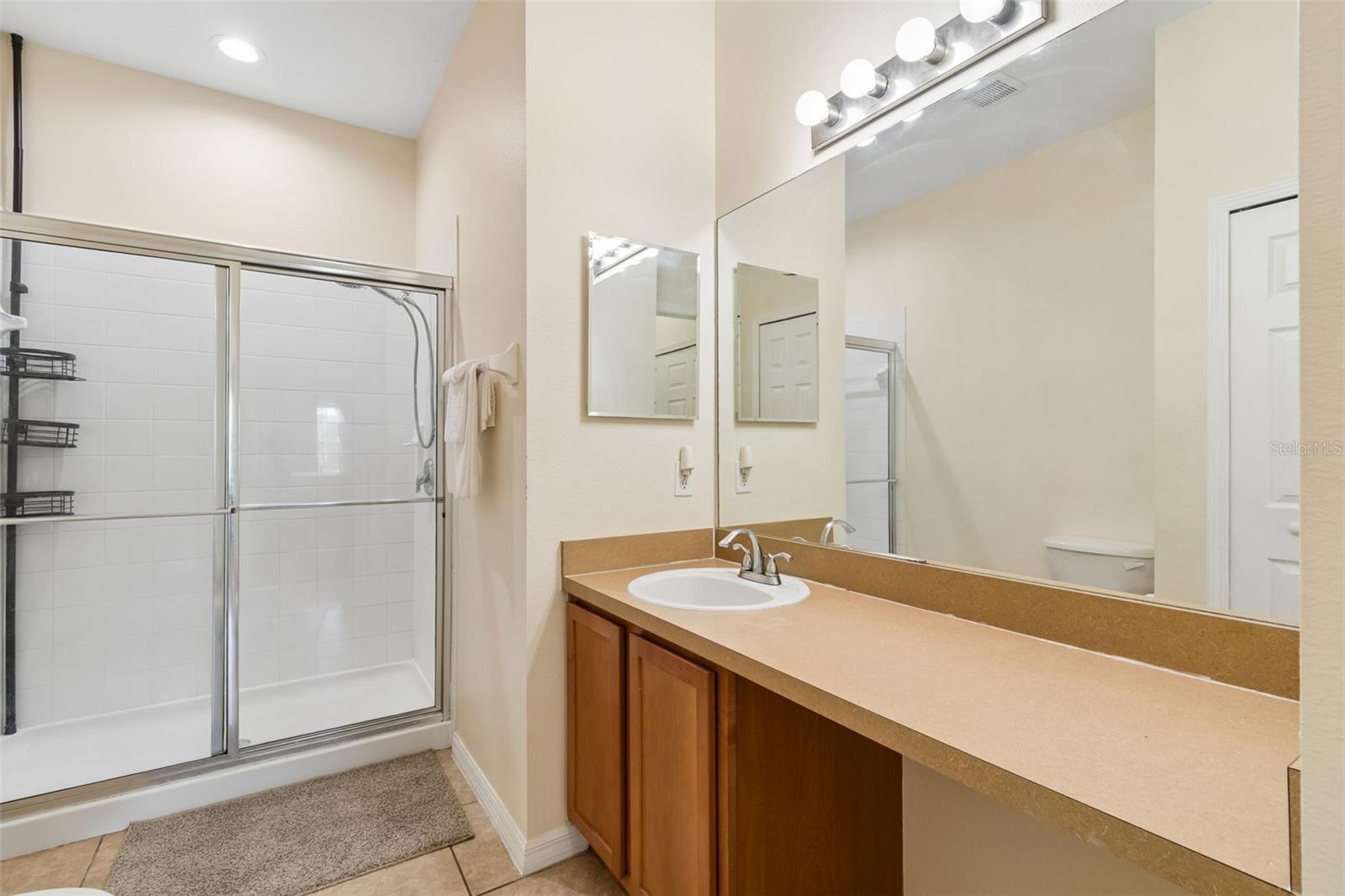 4329 ASHTON MEADOWS WAY, WESLEY CHAPEL, FL — photo 26
