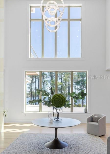 9312 BLANCHE COVE DR, WINDERMERE, FL — photo 11