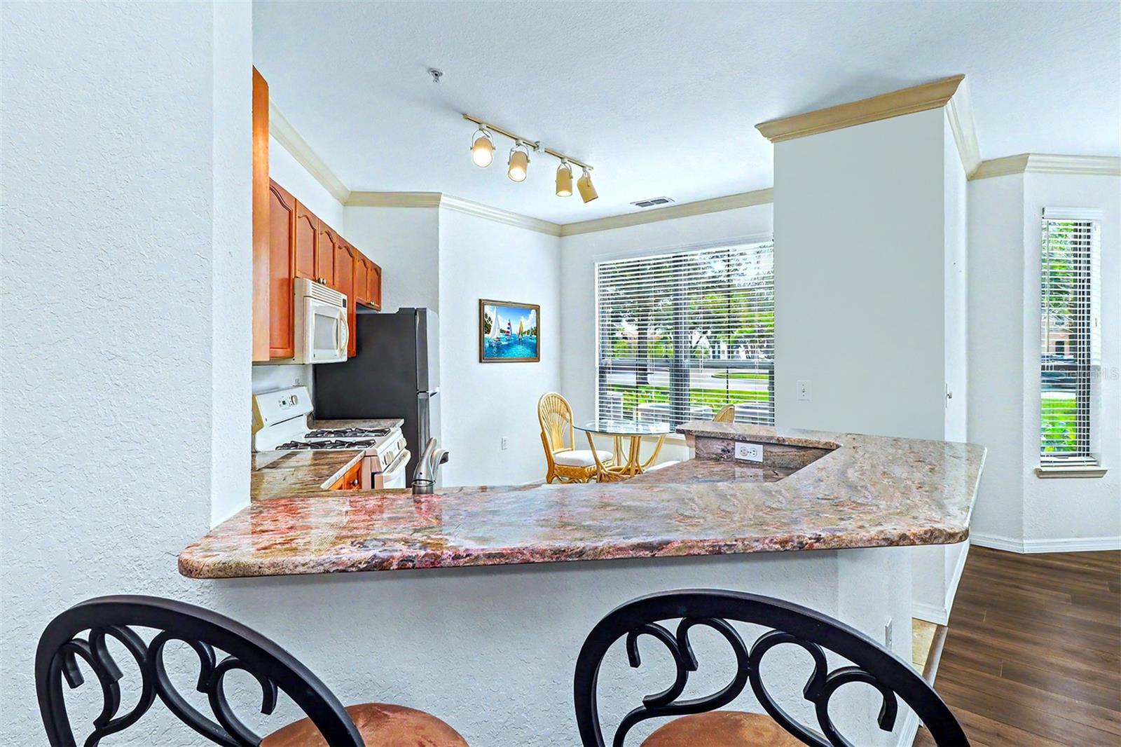 2746 VIA TIVOLI #110B, CLEARWATER, FL — photo 7