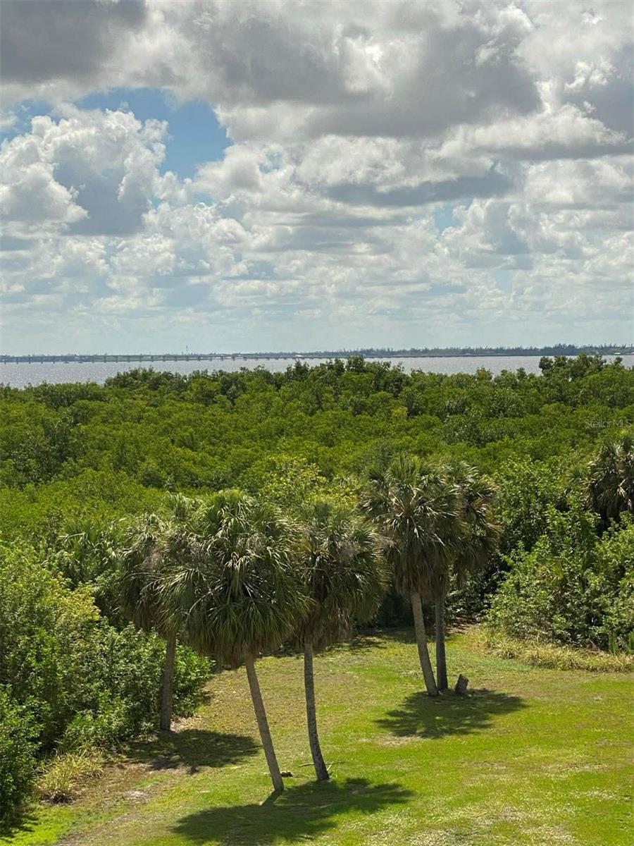 23465 HARBORVIEW RD #245, PUNTA GORDA, FL — photo 47