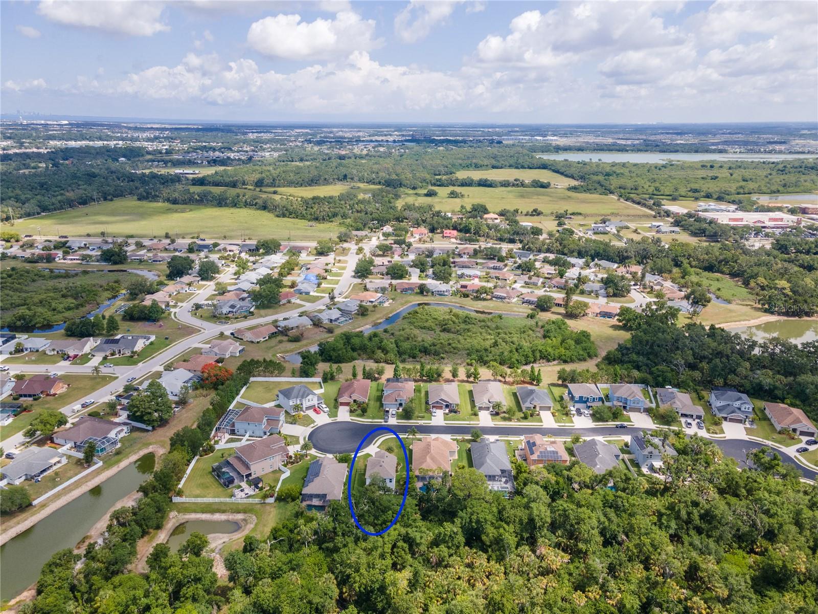 6311 HORSE MILL PL, PALMETTO, FL — photo 65