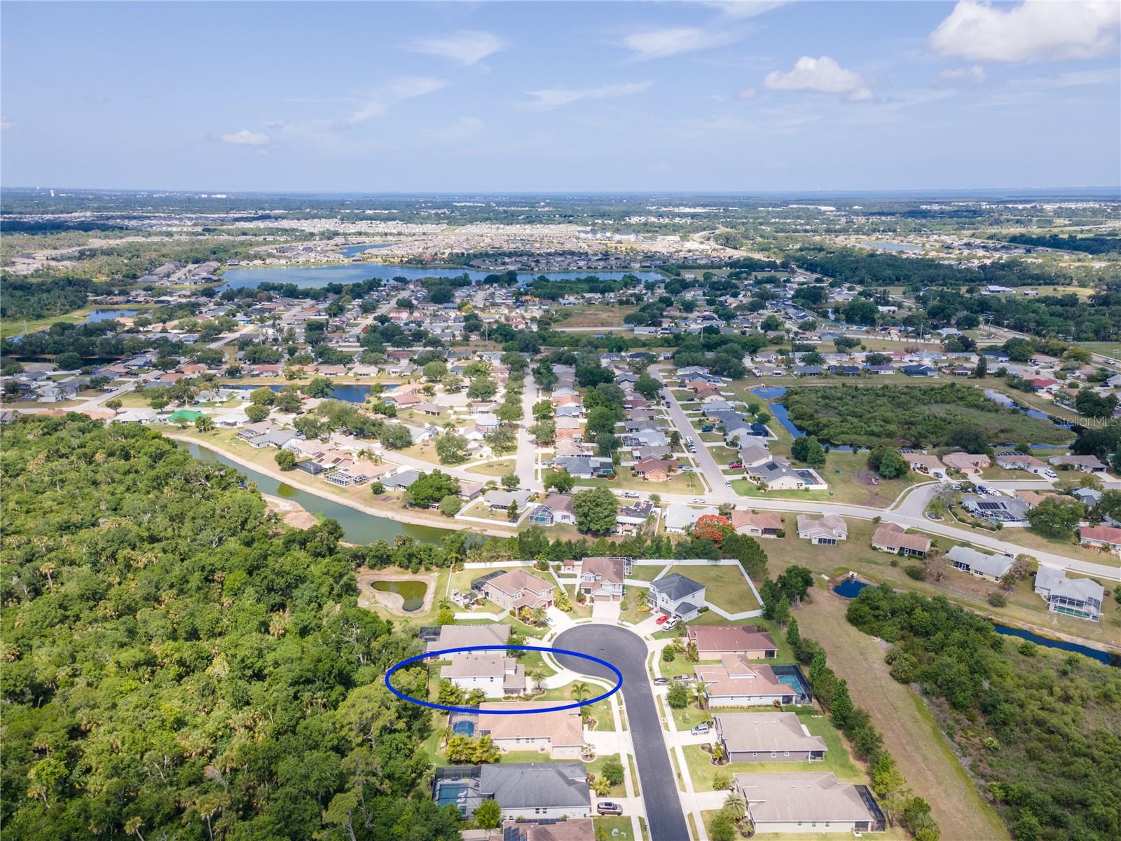 6311 HORSE MILL PL, PALMETTO, FL — photo 67