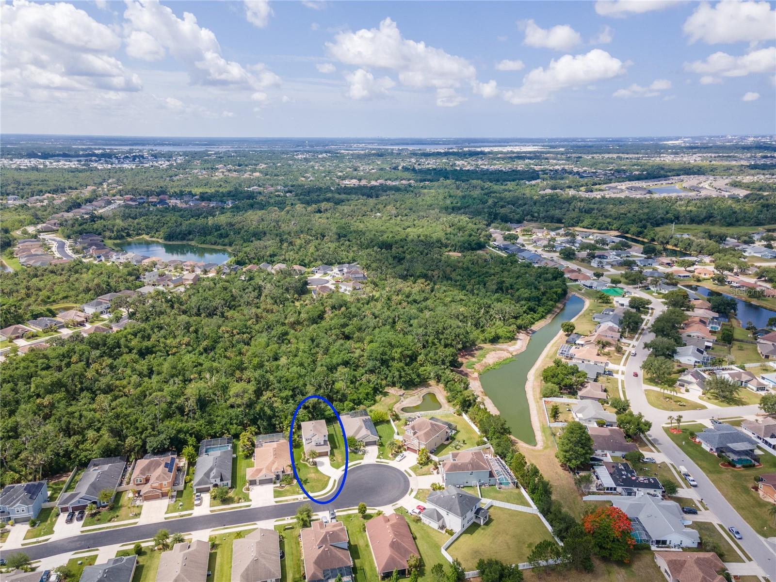 6311 HORSE MILL PL, PALMETTO, FL — photo 69