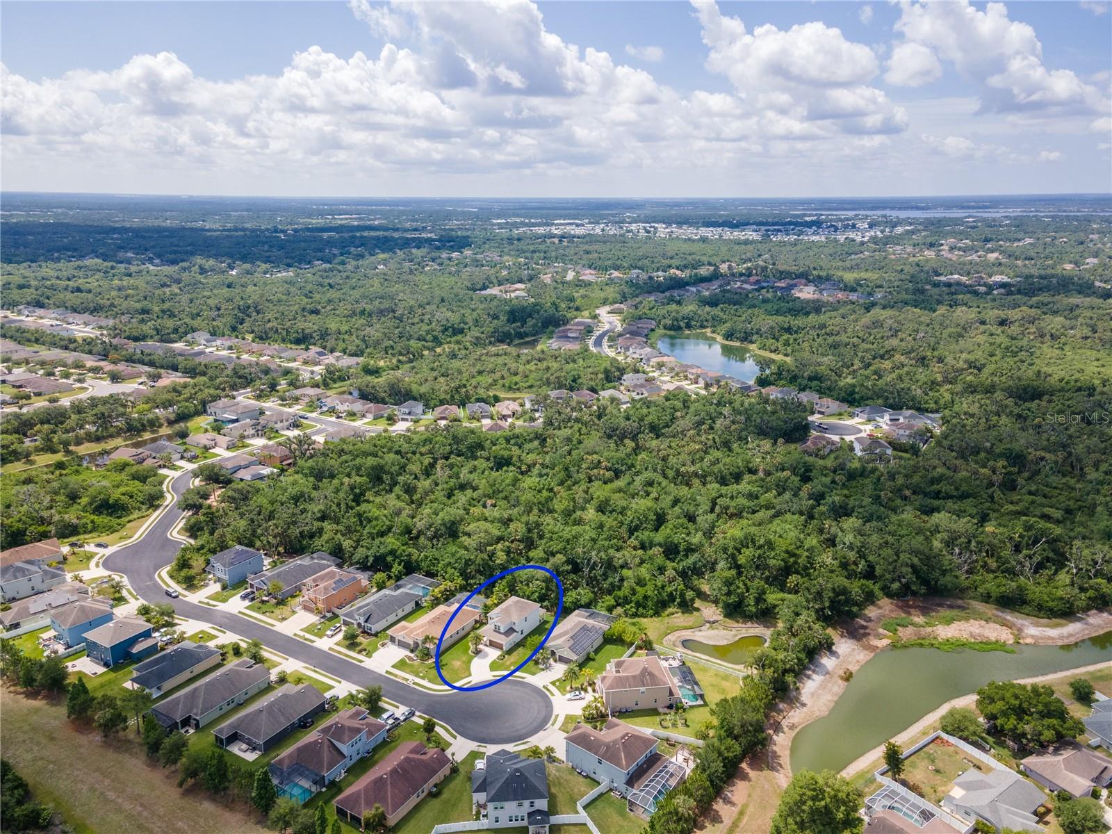 6311 HORSE MILL PL, PALMETTO, FL — photo 70