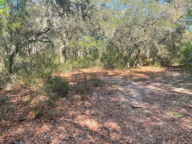 9345 SE 195TH AVE, OCKLAWAHA, FL
