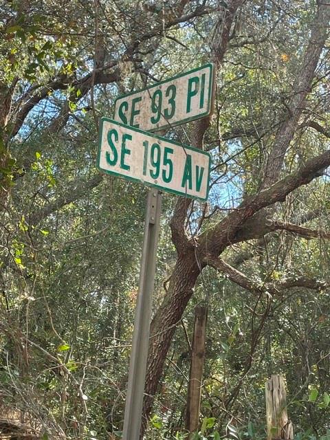 9345 SE 195TH AVE, OCKLAWAHA, FL — photo 2