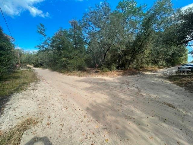 9345 SE 195TH AVE, OCKLAWAHA, FL — photo 3