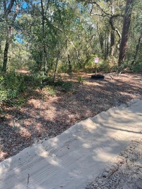 9345 SE 195TH AVE, OCKLAWAHA, FL — photo 5