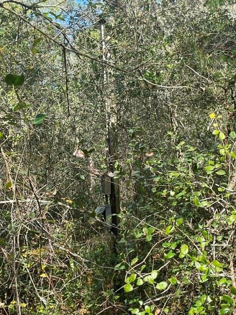 9345 SE 195TH AVE, OCKLAWAHA, FL — photo 8