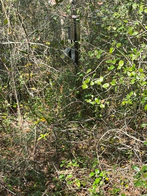 9345 SE 195TH AVE, OCKLAWAHA, FL — photo 9