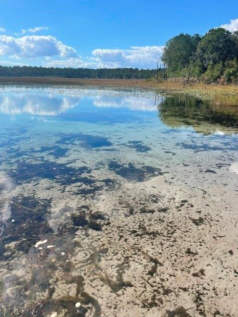9345 SE 195TH AVE, OCKLAWAHA, FL — photo 12