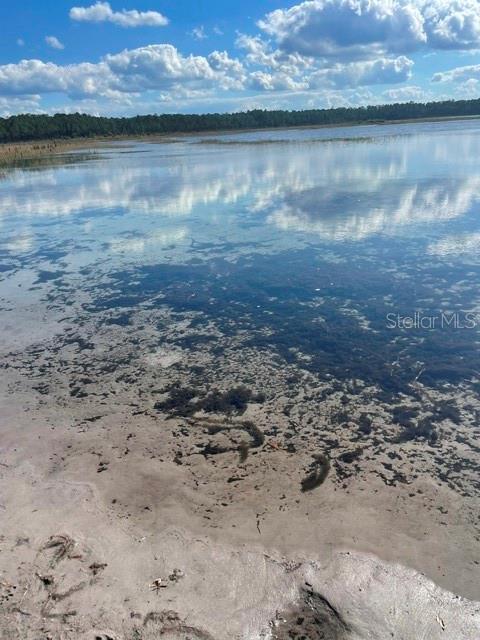 9345 SE 195TH AVE, OCKLAWAHA, FL — photo 14