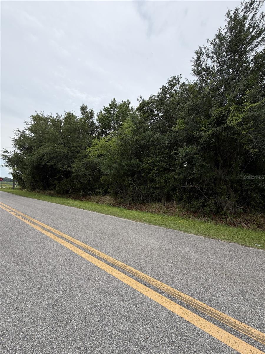 158 E CRACKER SWAMP RD, EAST PALATKA, FL — photo 2
