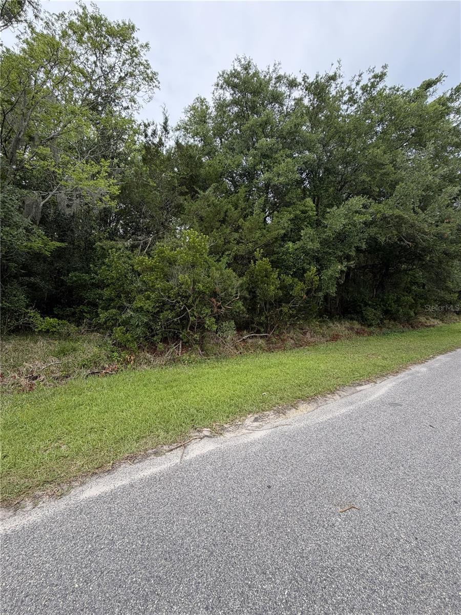 158 E CRACKER SWAMP RD, EAST PALATKA, FL — photo 3