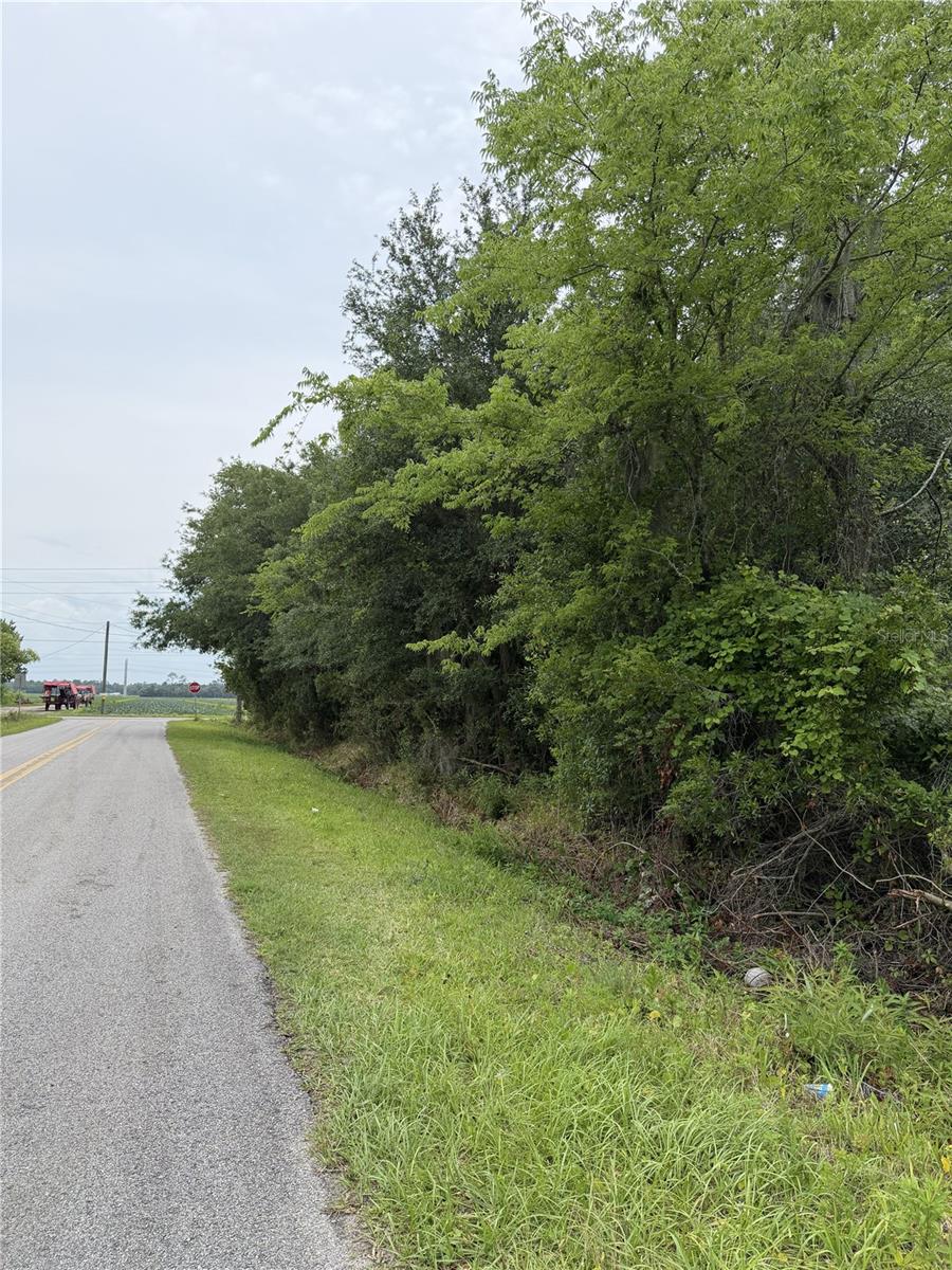 158 E CRACKER SWAMP RD, EAST PALATKA, FL — photo 8