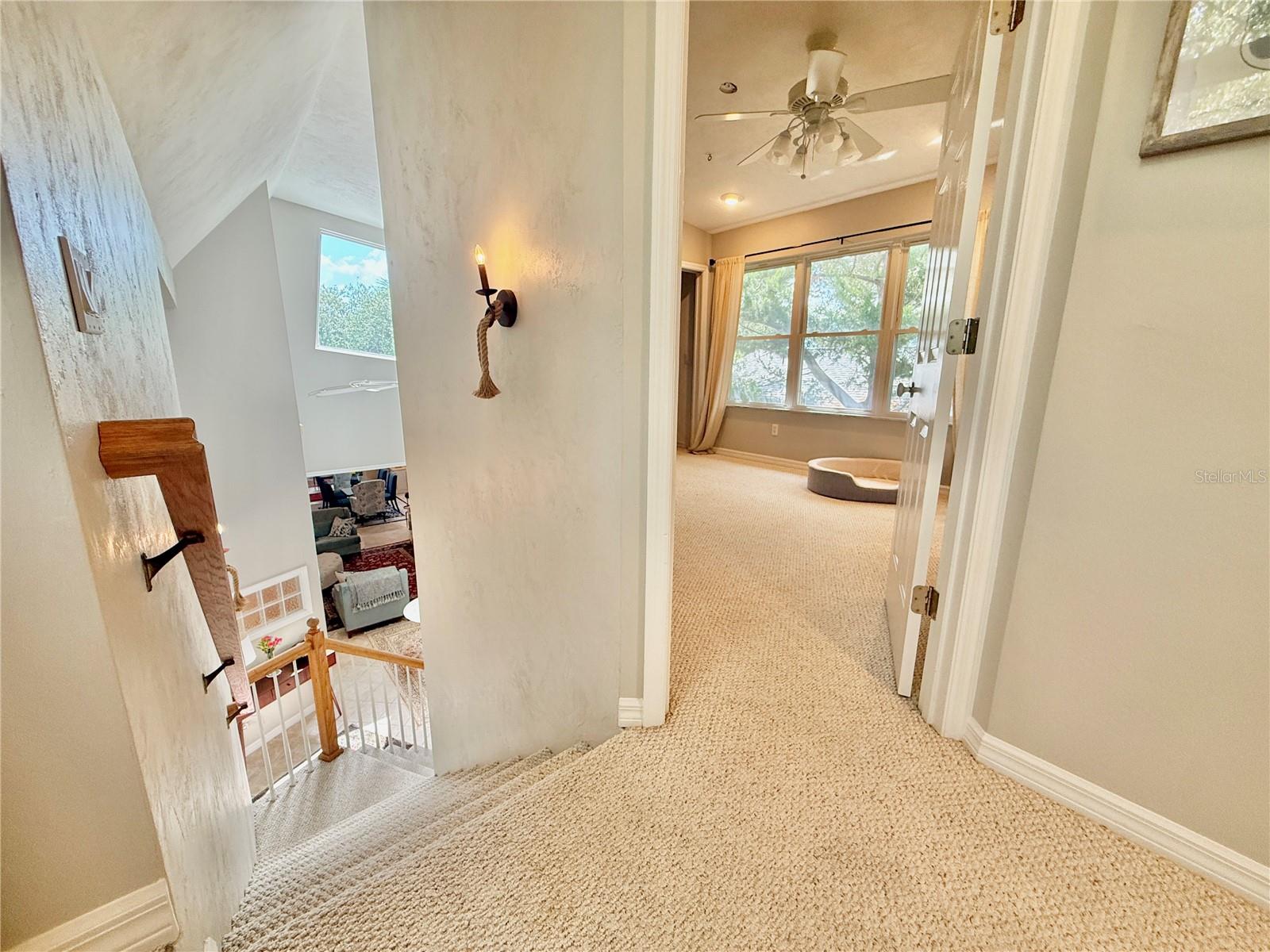 2023 S FLAGLER AVE, FLAGLER BEACH, FL — photo 45
