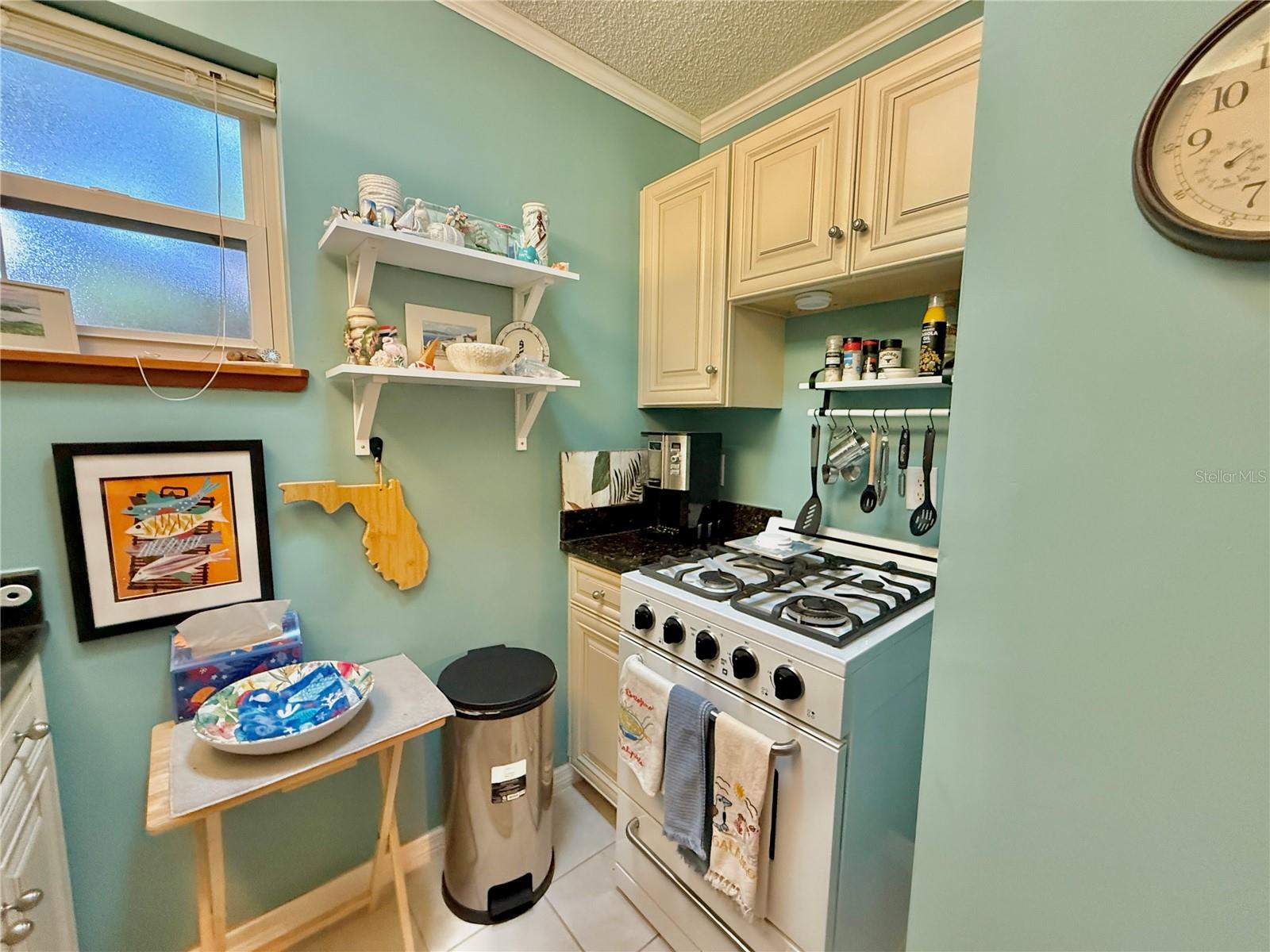 2023 S FLAGLER AVE, FLAGLER BEACH, FL — photo 61