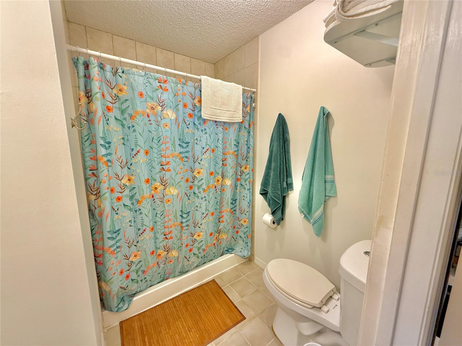 2023 S FLAGLER AVE, FLAGLER BEACH, FL — photo 63