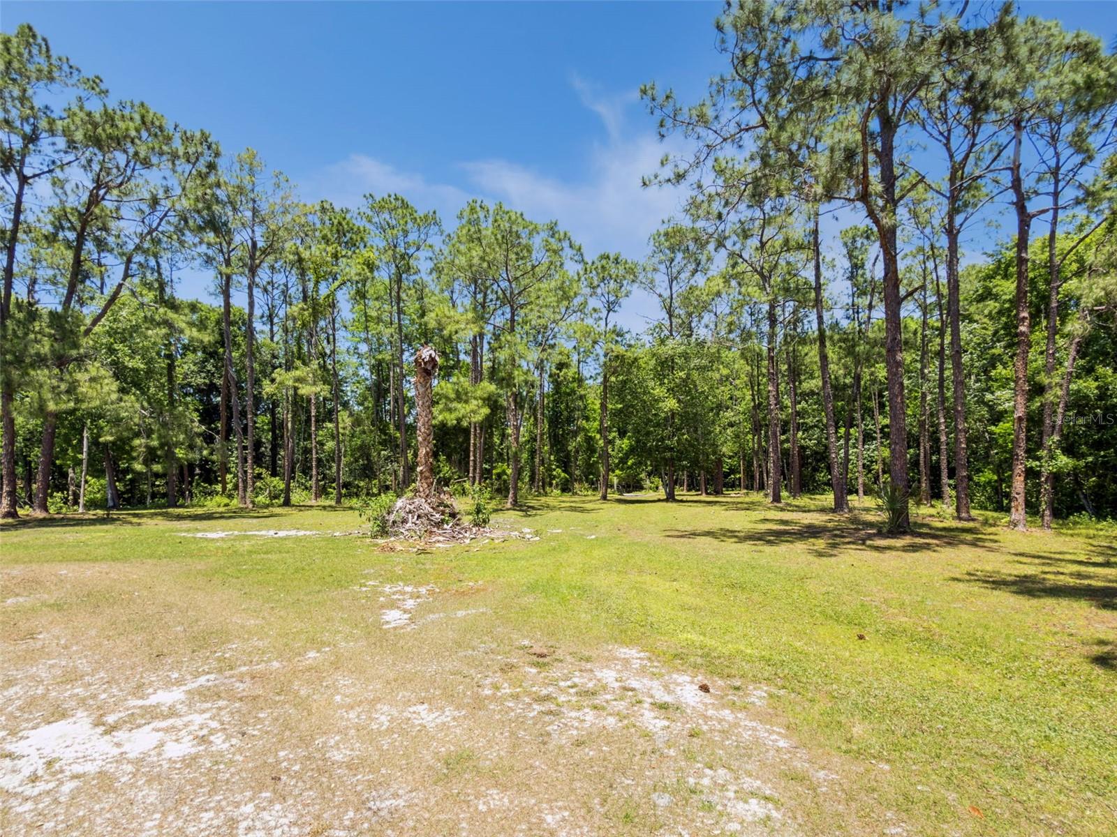 BLUE JAY WAY, DAVENPORT, FL — photo 8