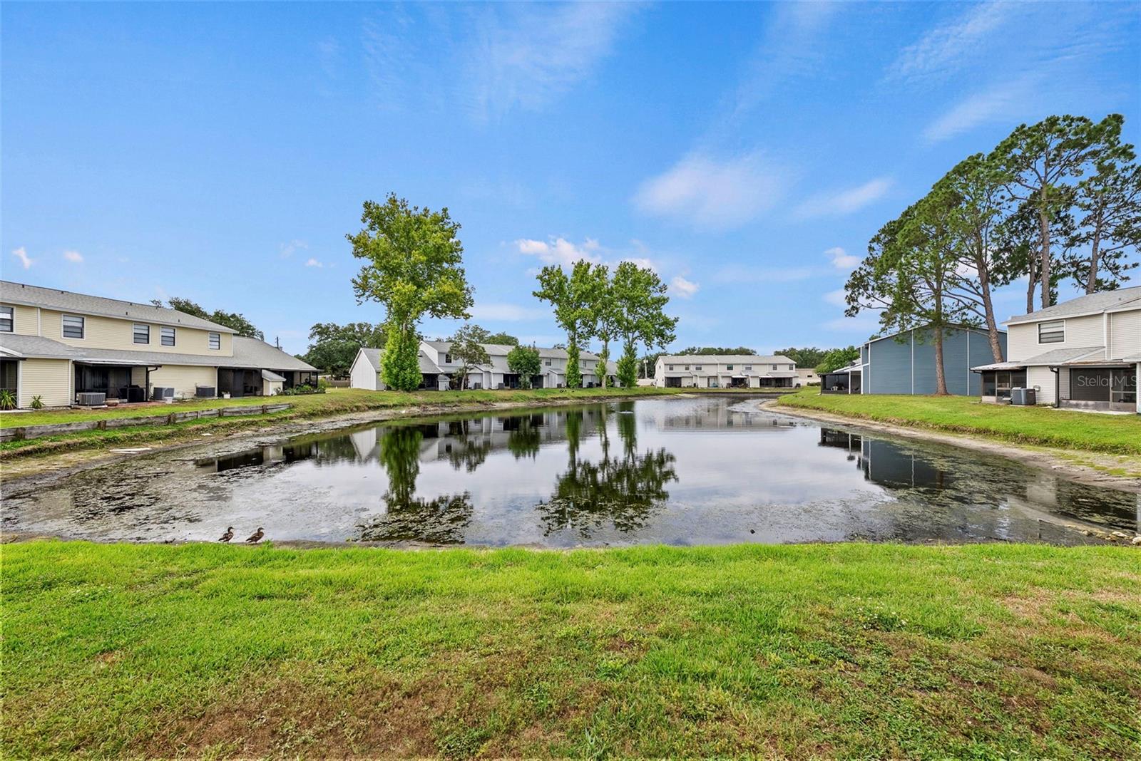 5314 ABINGER CT, TAMPA, FL — photo 20