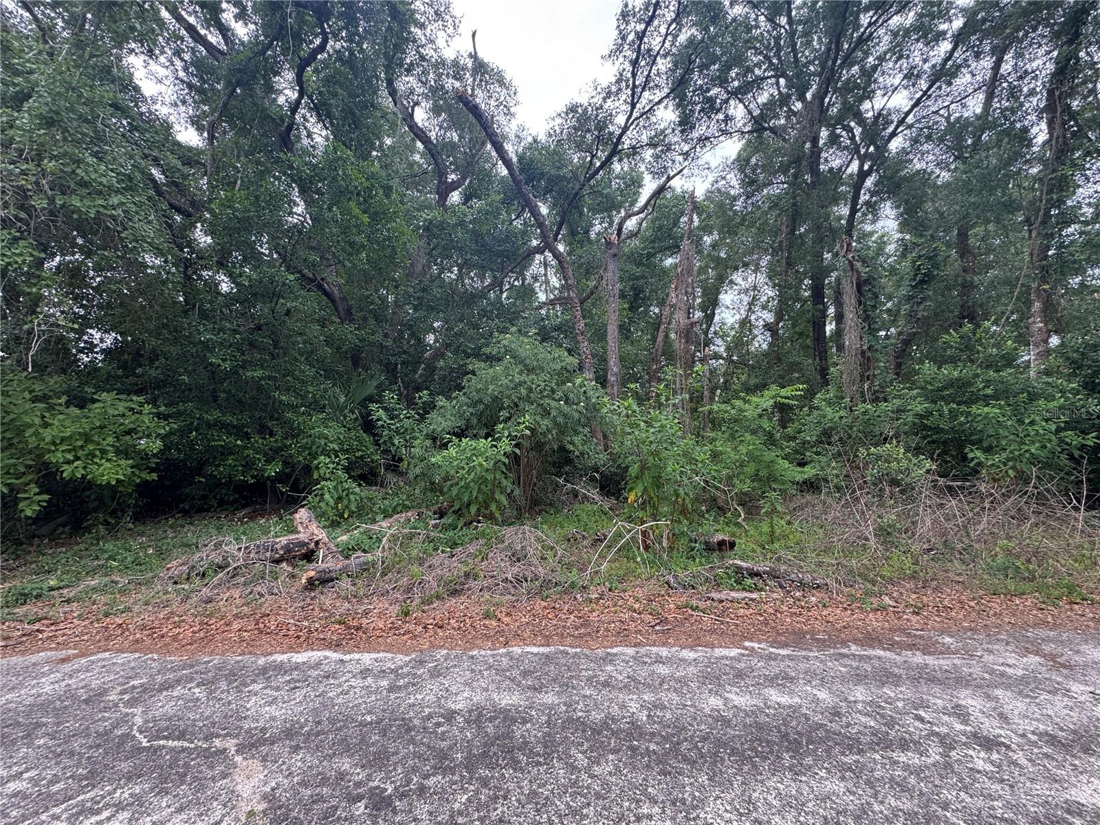 3638 E LEE DR, INVERNESS, FL