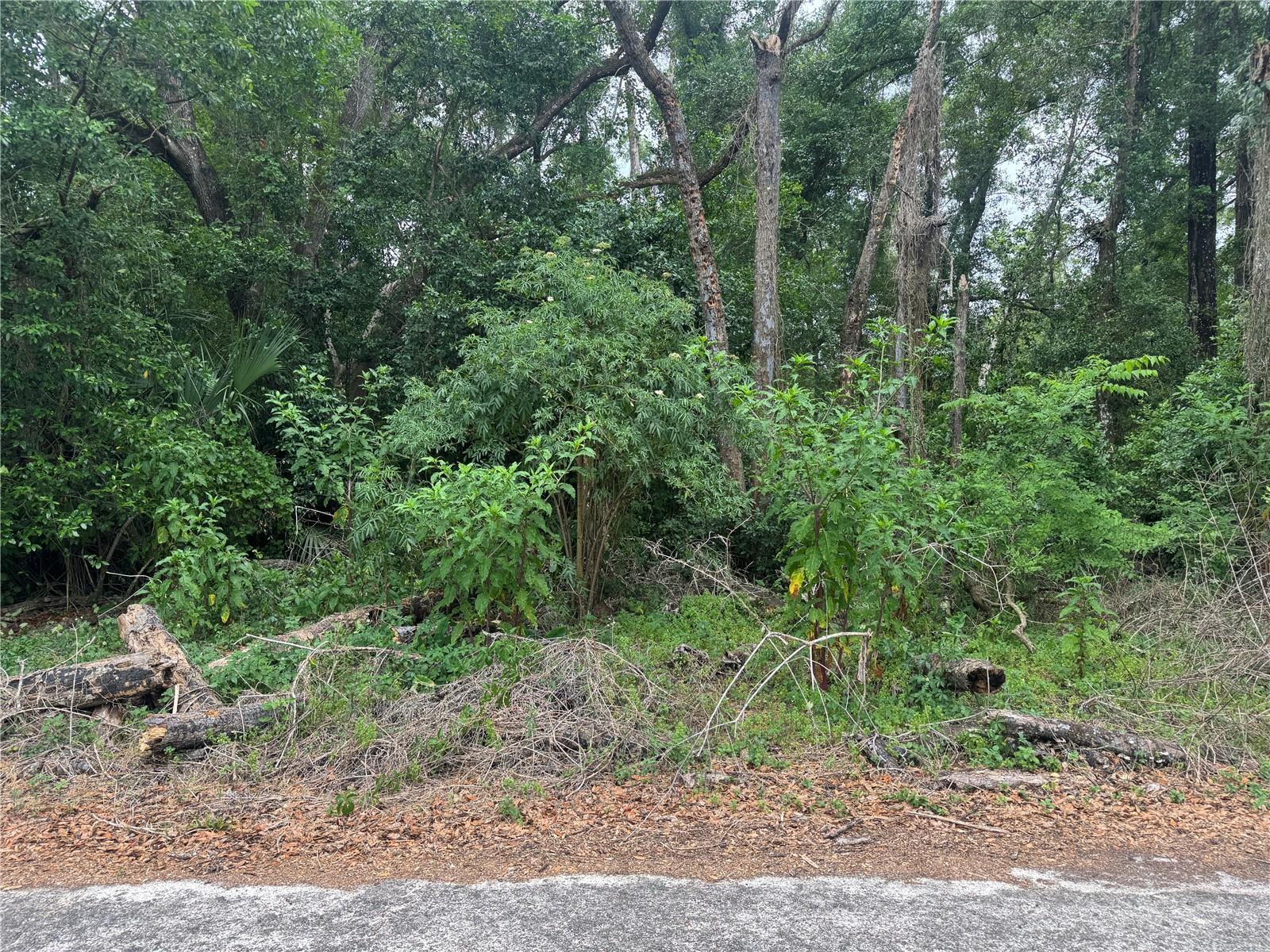 3638 E LEE DR, INVERNESS, FL — photo 2