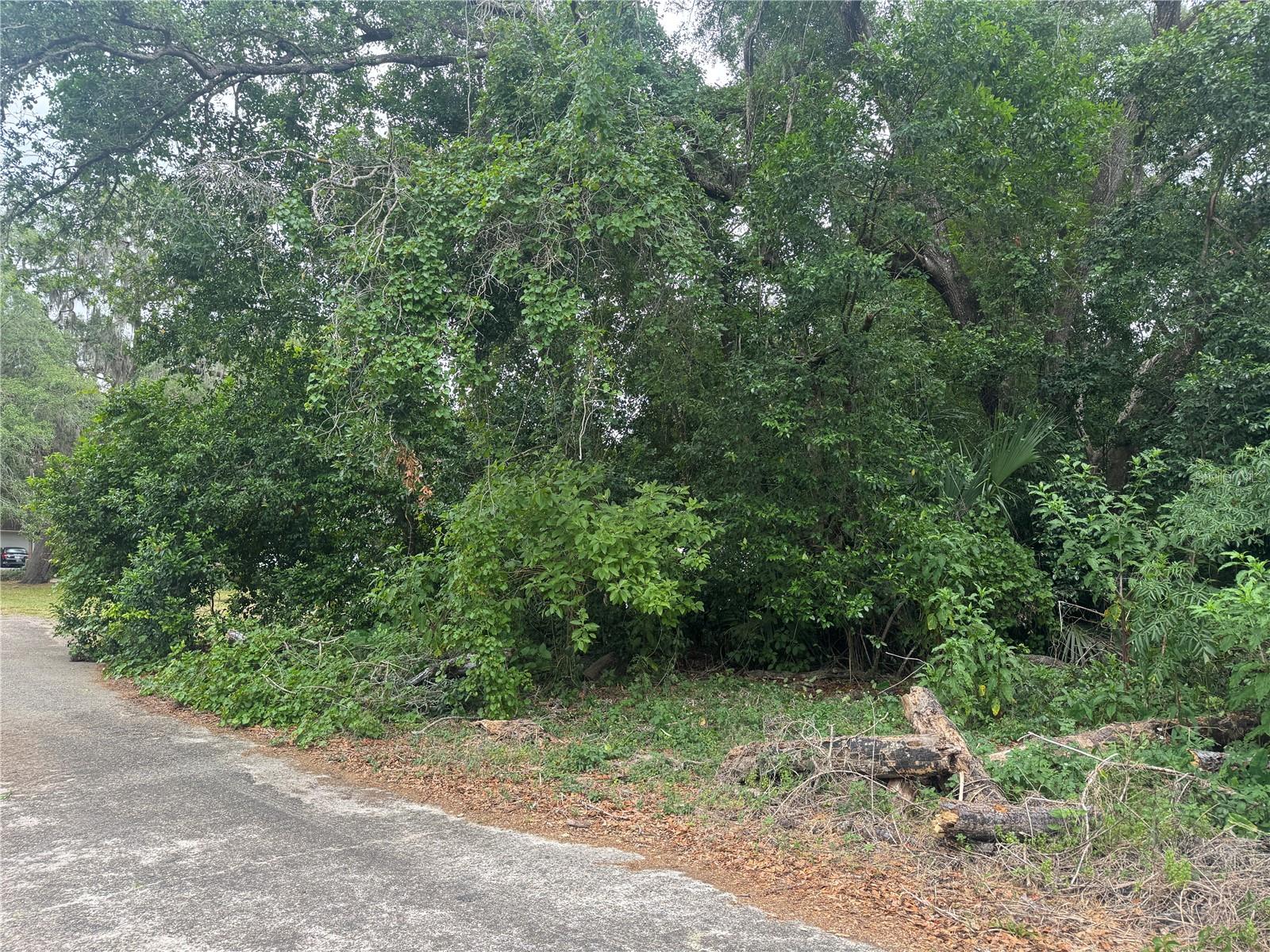 3638 E LEE DR, INVERNESS, FL — photo 4