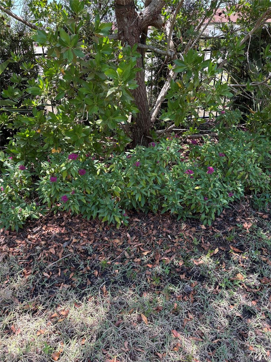 113 VINADIO BLVD, NOKOMIS, FL — photo 23