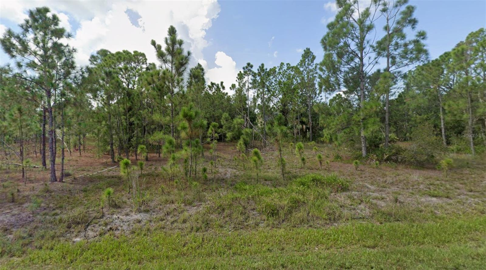 27117 BADGER DR, PUNTA GORDA, FL — photo 2
