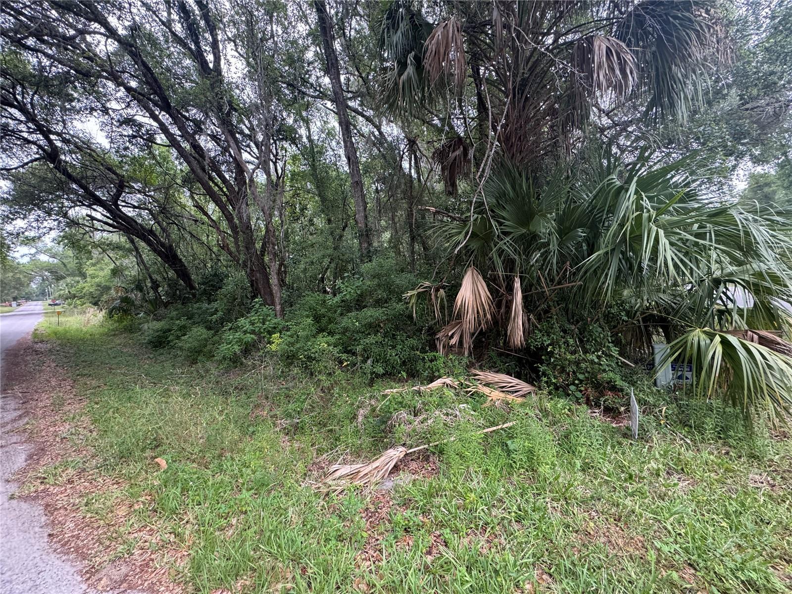 874 N SAVARY AVE, INVERNESS, FL — photo 3