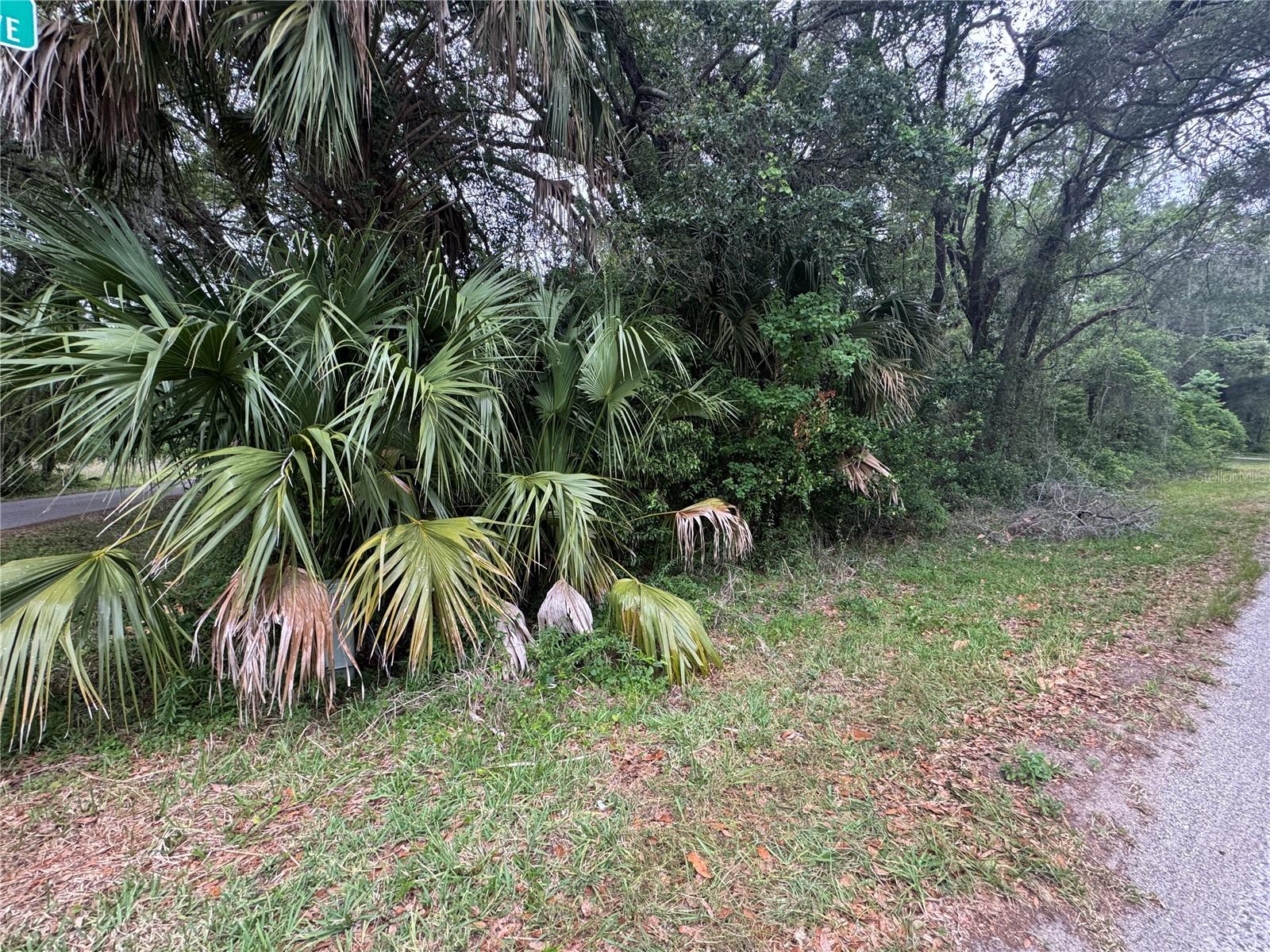 874 N SAVARY AVE, INVERNESS, FL — photo 4
