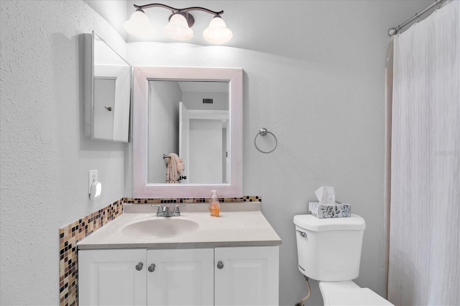 3001 58TH AVE S #1211, ST PETERSBURG, FL — photo 20