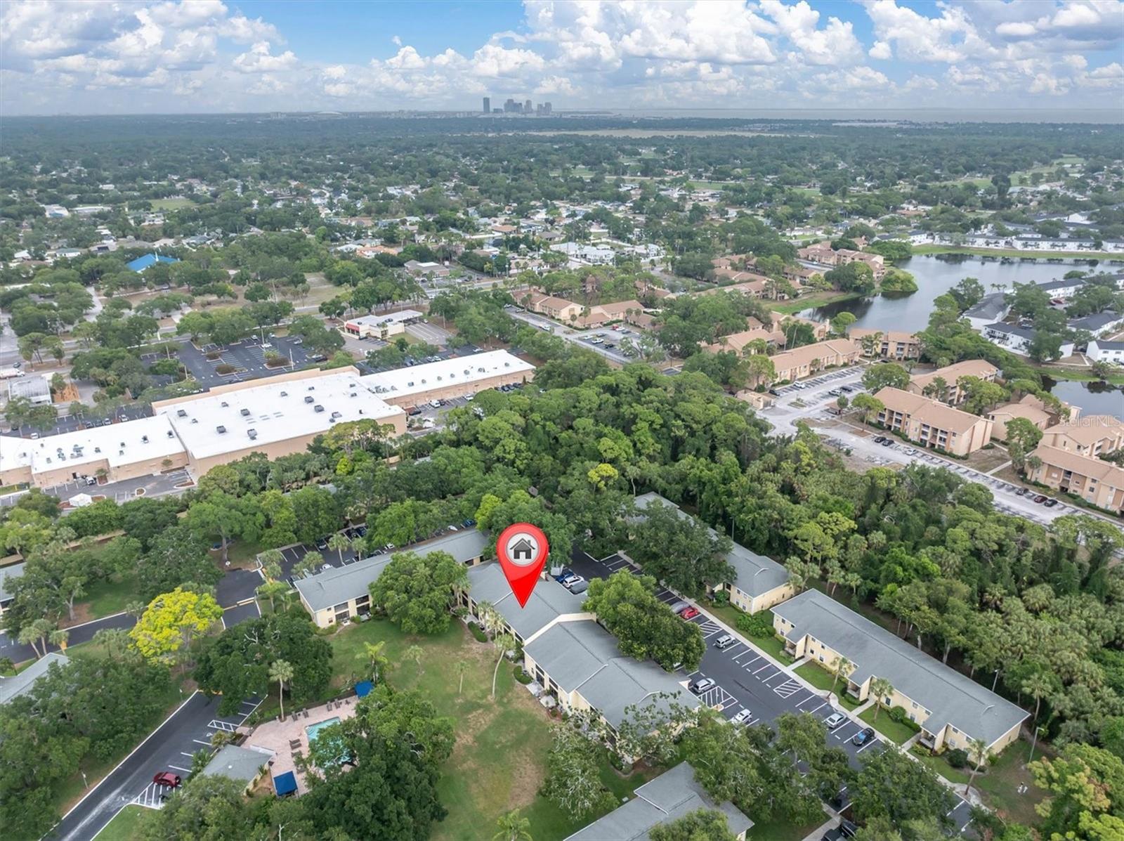 3001 58TH AVE S #1211, ST PETERSBURG, FL — photo 29
