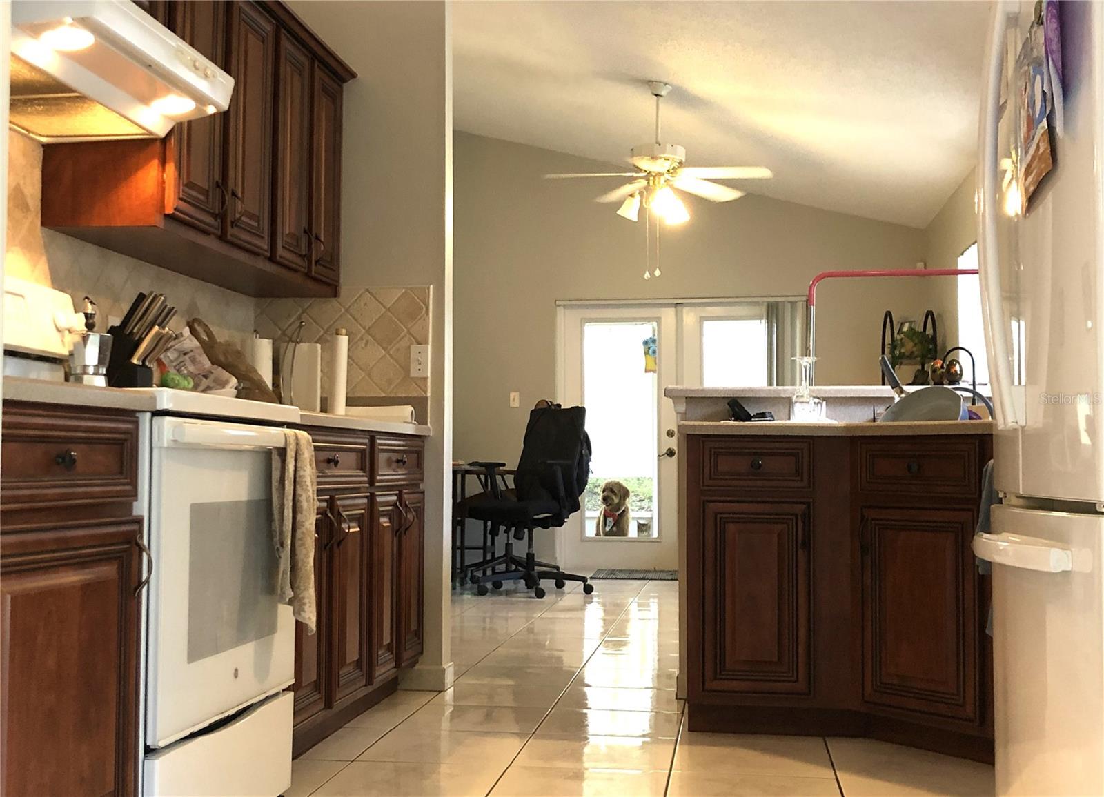 216 SANDHILL CRANE RUN, ORLANDO, FL — photo 10