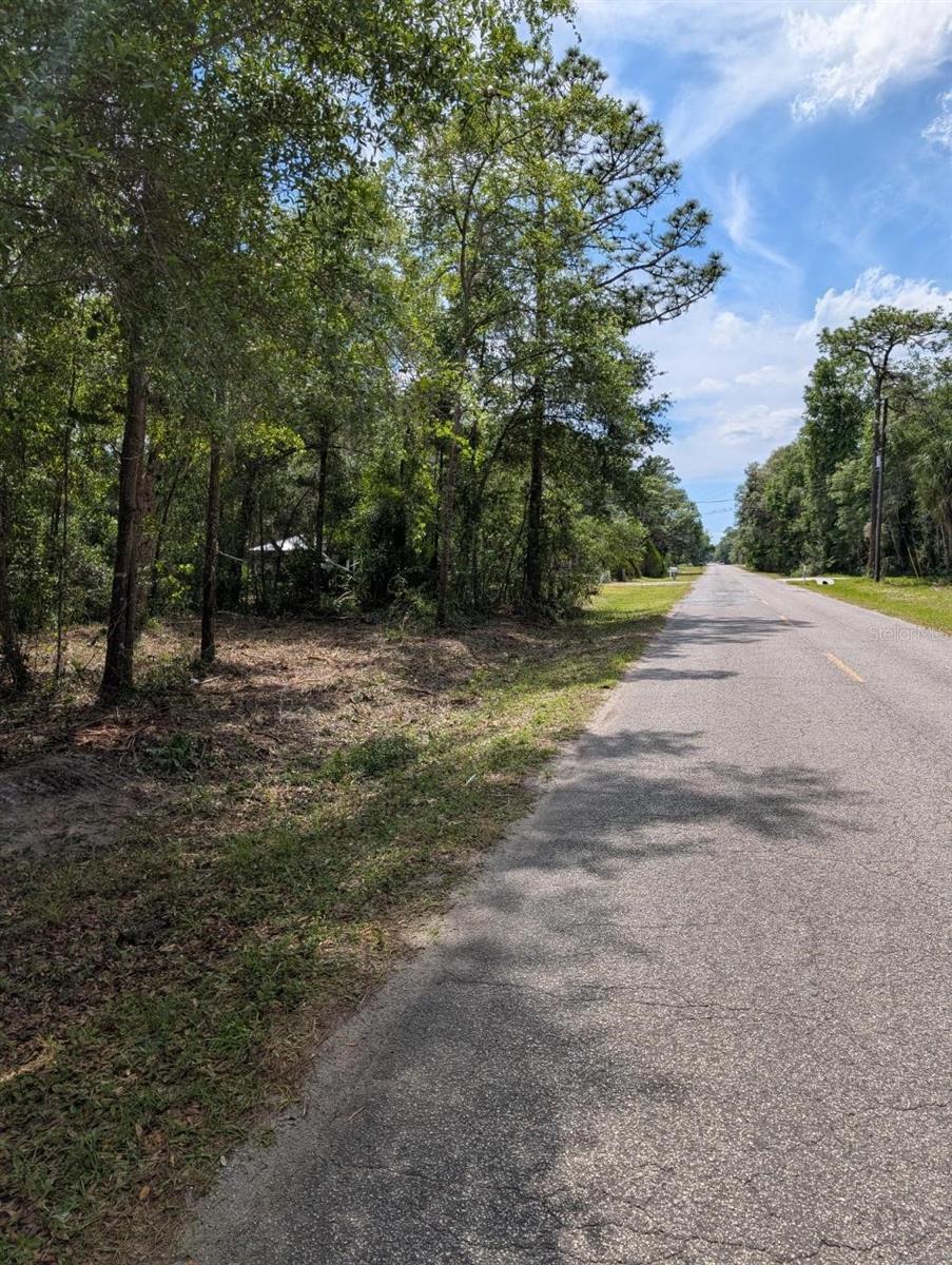 0 NE 220TH ST, FORT MC COY, FL — photo 2