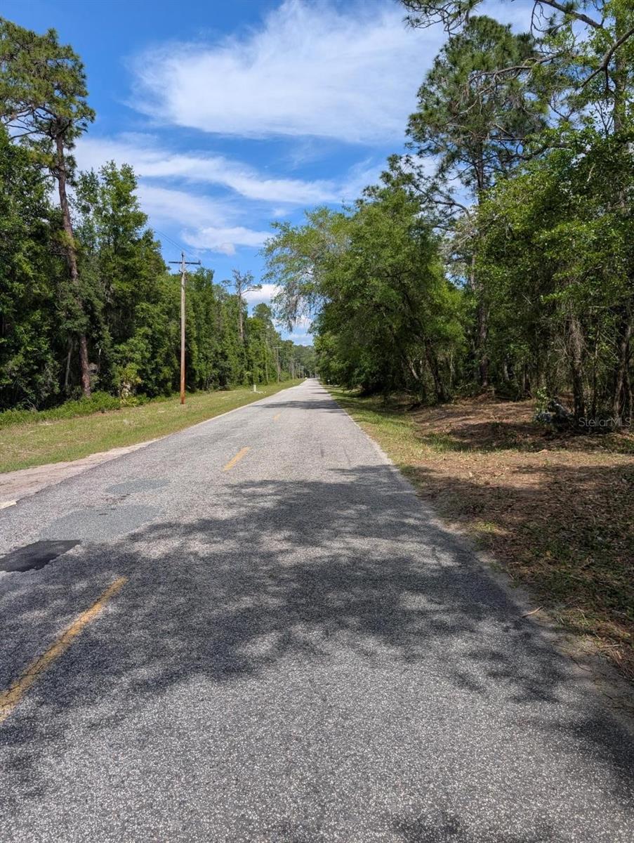 0 NE 220TH ST, FORT MC COY, FL — photo 3