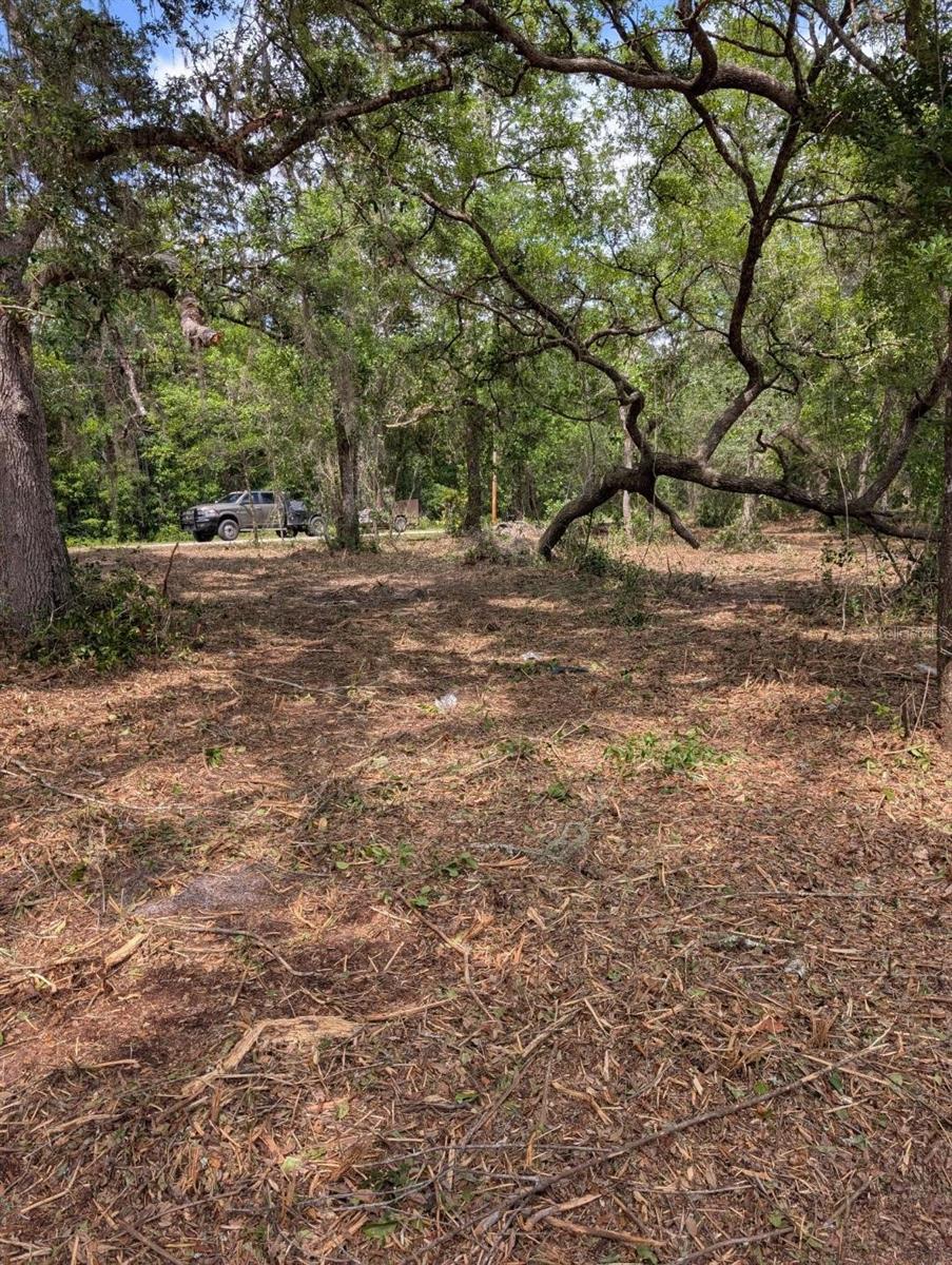 0 NE 220TH ST, FORT MC COY, FL — photo 4