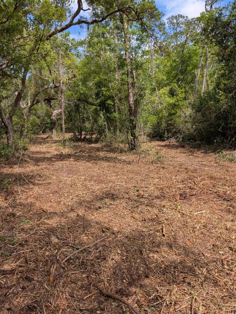 0 NE 220TH ST, FORT MC COY, FL — photo 5
