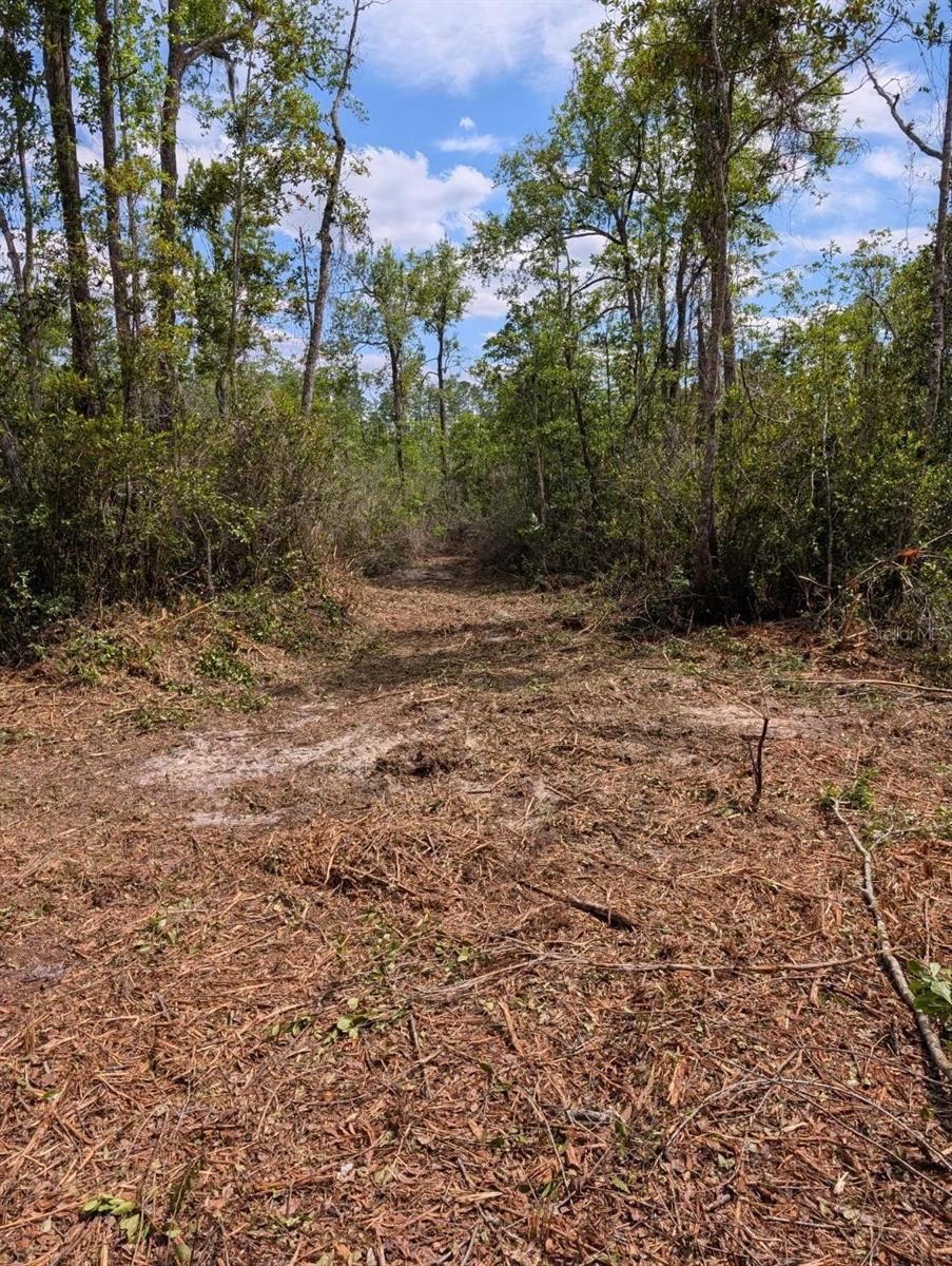 0 NE 220TH ST, FORT MC COY, FL — photo 6