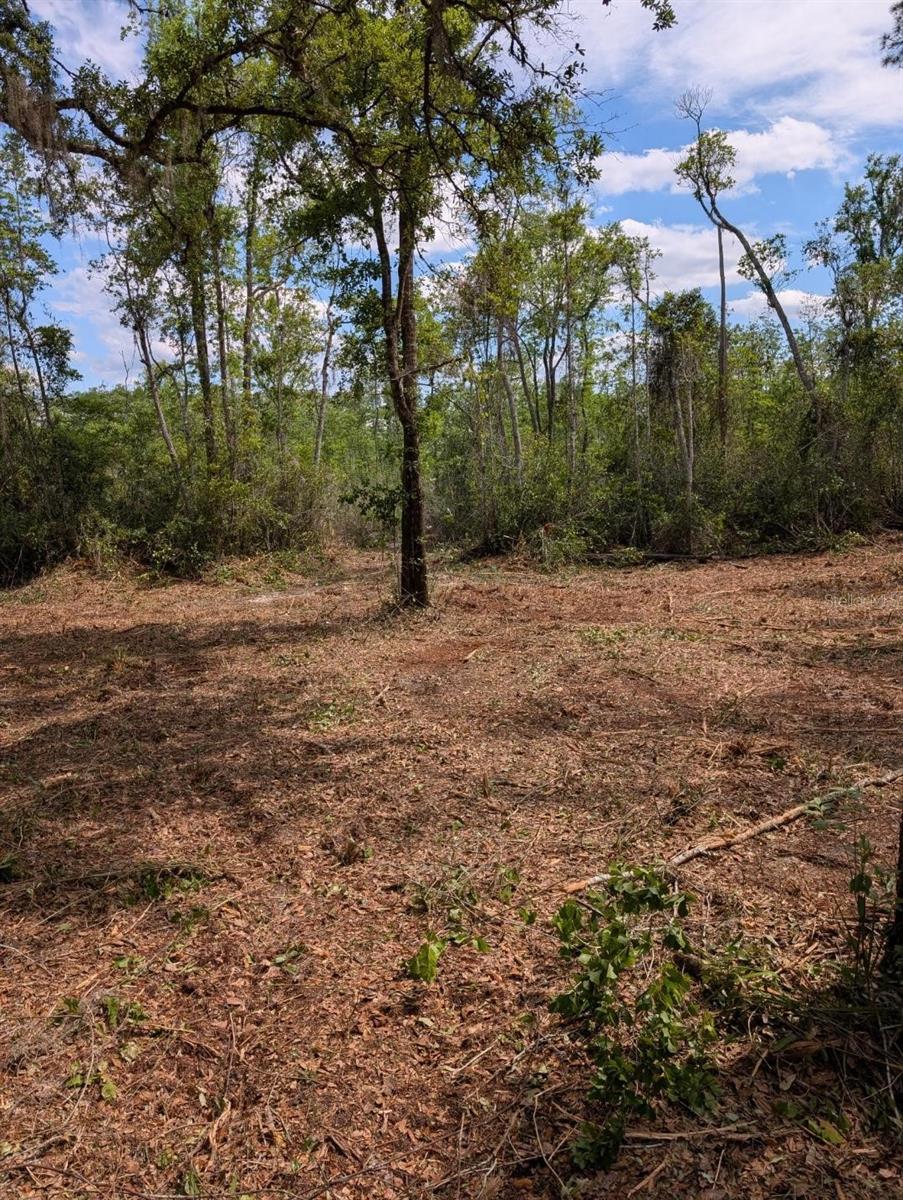 0 NE 220TH ST, FORT MC COY, FL — photo 7