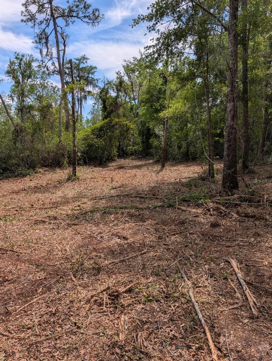 0 NE 220TH ST, FORT MC COY, FL — photo 8