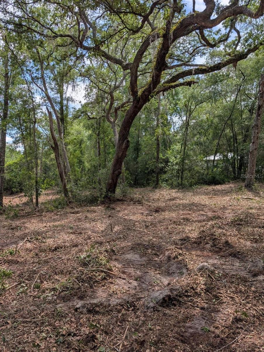 0 NE 220TH ST, FORT MC COY, FL — photo 9