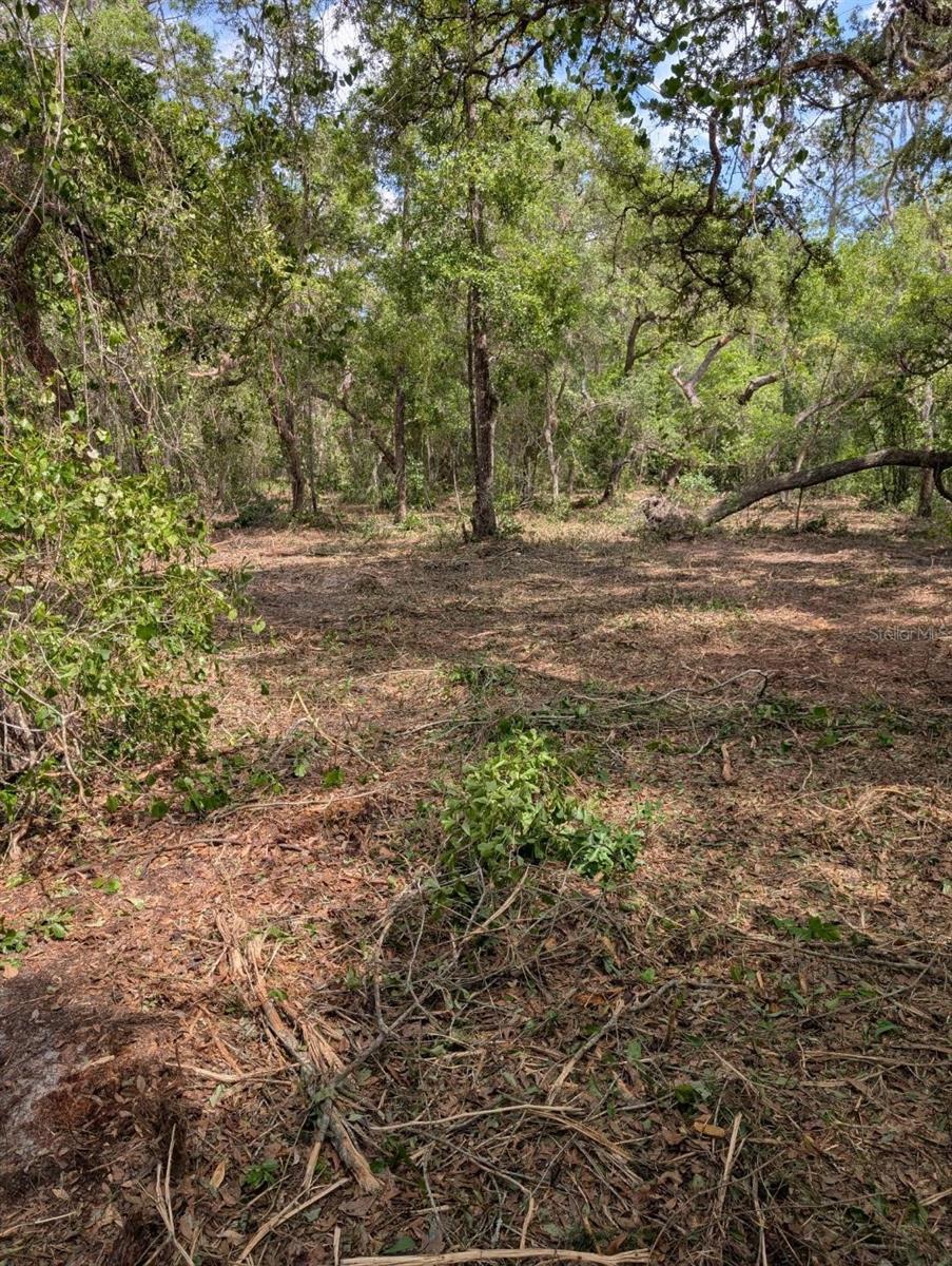 0 NE 220TH ST, FORT MC COY, FL — photo 10