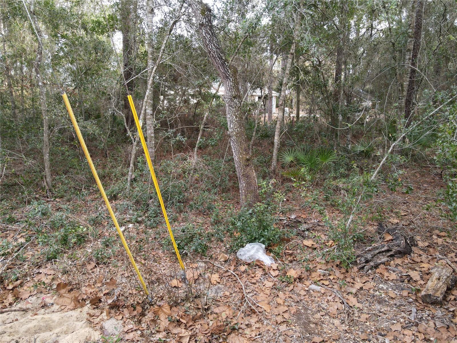 W SEVENTH AVE, UMATILLA, FL — photo 7