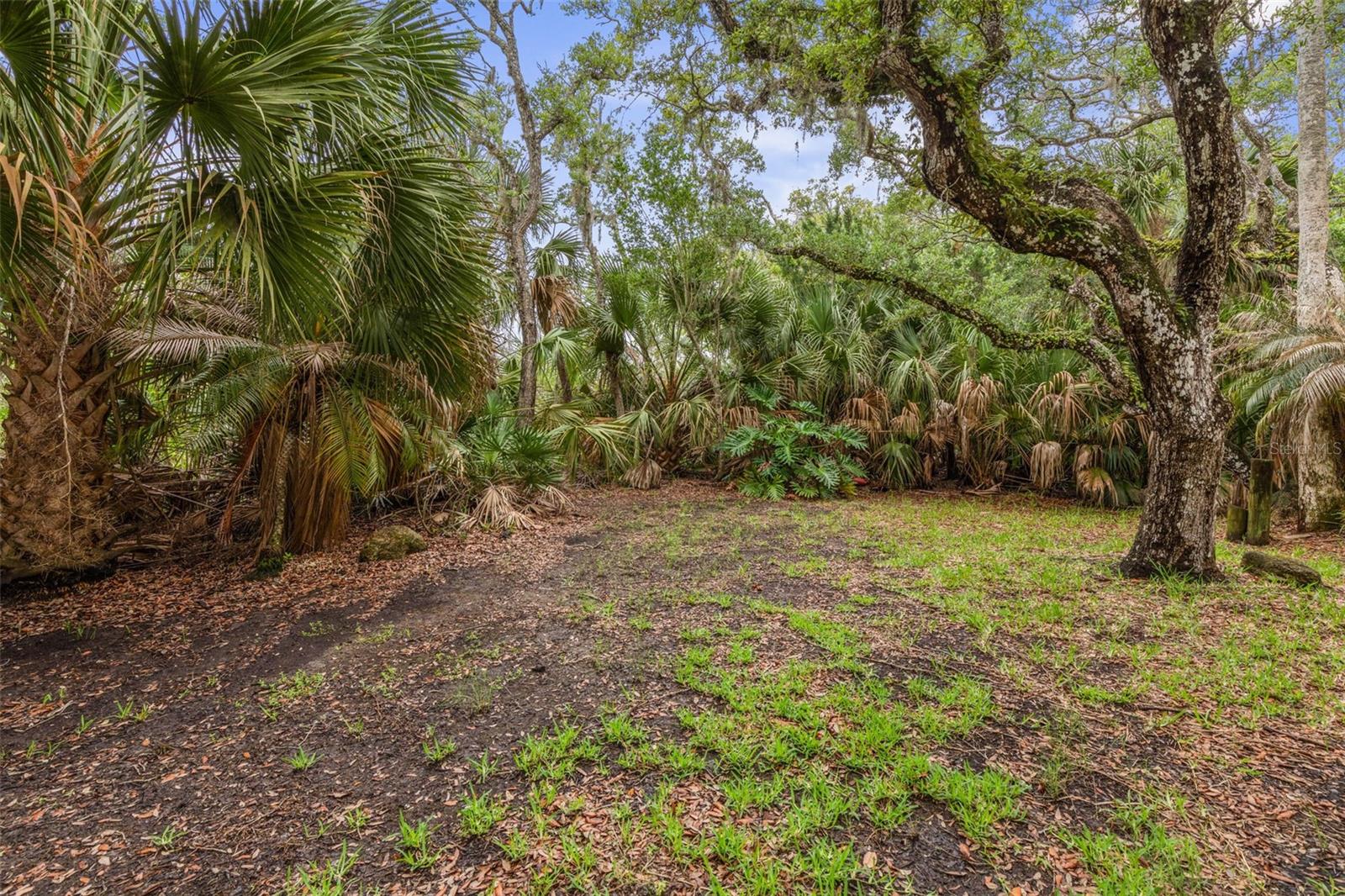 1436 S FLAGLER AVE, FLAGLER BEACH, FL — photo 14