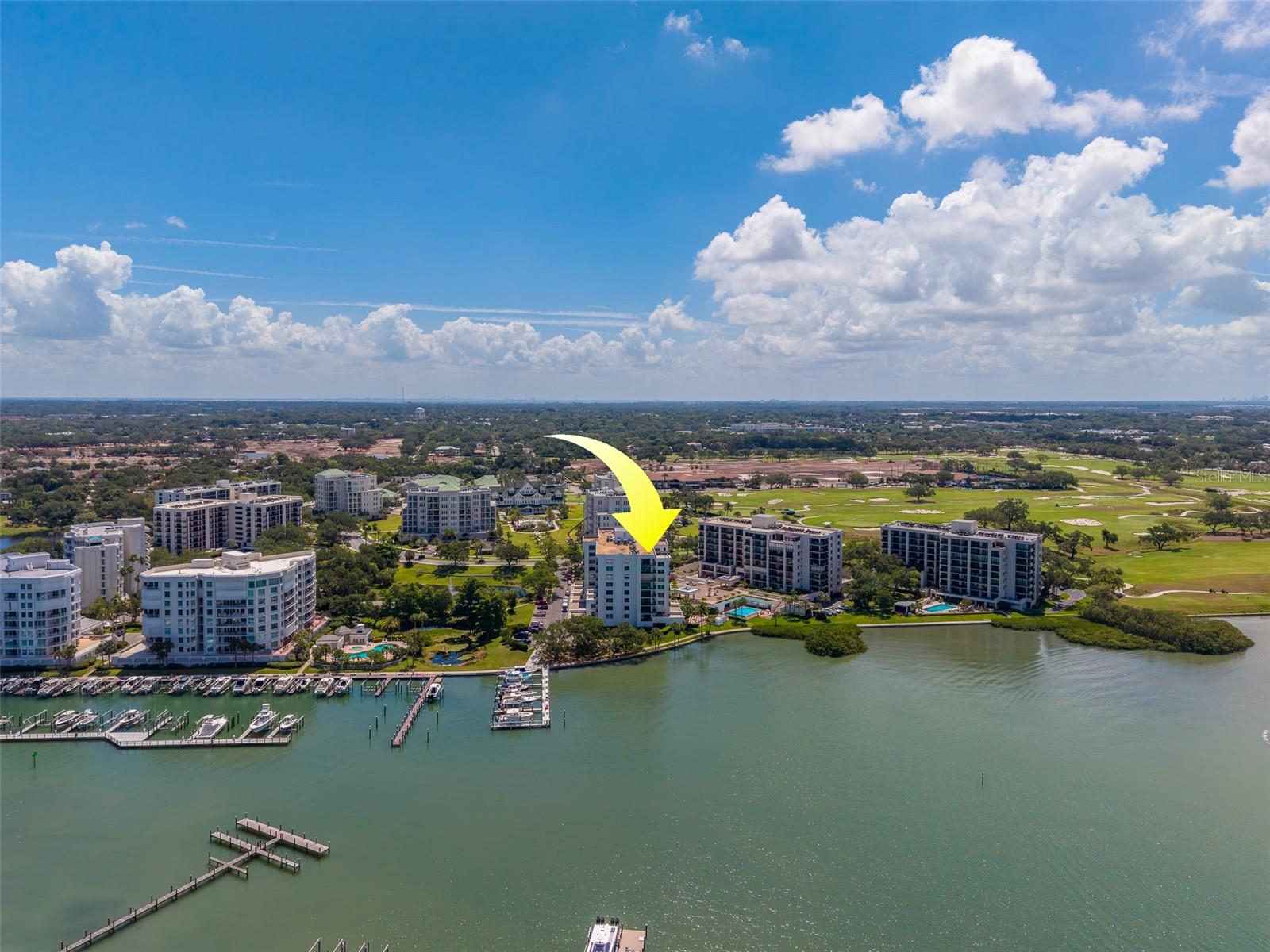 8 BELLEVIEW BLVD #507, BELLEAIR, FL — photo 64
