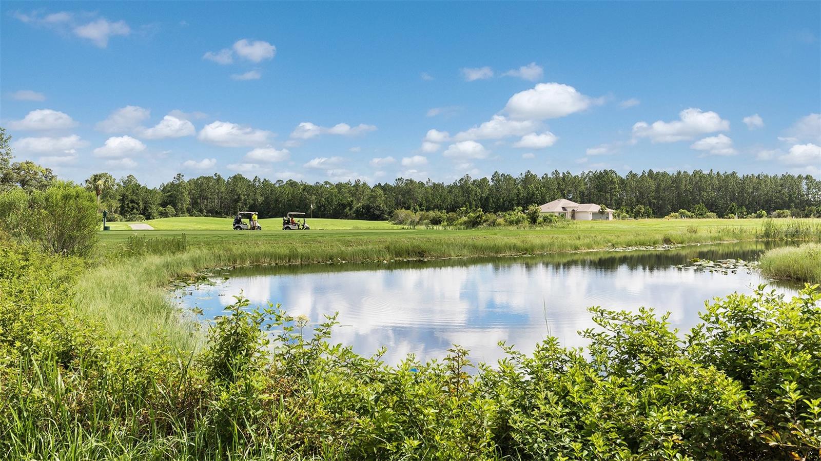 19 DIVOT PL, BUNNELL, FL — photo 43