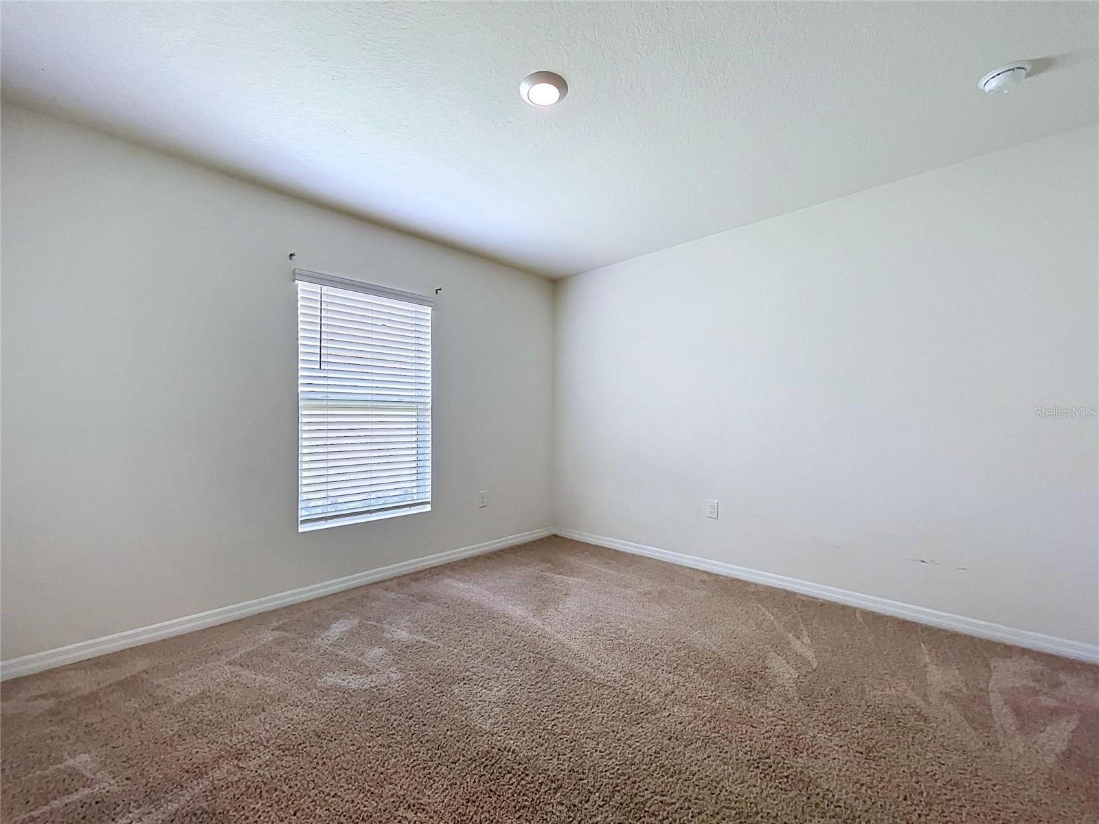7804 DAVIE RAY DR, ZEPHYRHILLS, FL — photo 9
